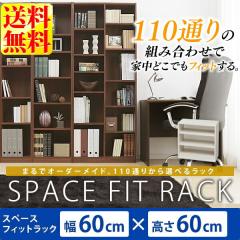�I ���b�N �{�I ��60 �X�y�[�X�t�B�b�g���b�N ��60�~���s29�~����60cm S-SFR6060