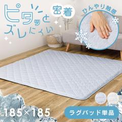 �s�^�\��@�ڐG�⊴�̃L���g���O�@2�� 270609120 [����s��] ���O ����~�� �Y���Ȃ� �􂦂� �������E���^�� �y�b�g�Ή� �q�������p ���O