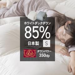 �����r���[���e�Ń|�C���g�Ҍ��� WDD85�����y�� �G�N�Z�� S 10DS2219-85W0.7IR �S2�F �H�ѕz�c �V���O�� �G�N�Z�� ���������� �y�� ��