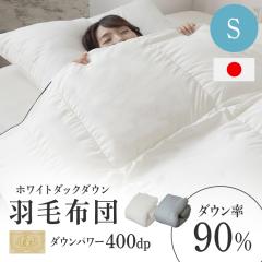 �����r���[���e�Ń|�C���g�Ҍ��� WDD90�����y�� ���C���� S 10DS2219-90W0.7IR �S2�F �H�ѕz�c �V���O�� ���C���� ���������� �y�� ��