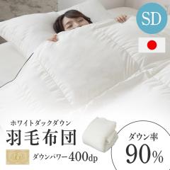 WDD90�����y�� ���C���� SD �A�C�{���[ 10DSW2219-90W0.8IR �H�ѕz�c �Z�~�_�u�� ���C���� ���������� �y�� �􂦂� �|���z�c �|�z�c �ӂ�