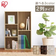 �J���[�{�b�N�X 2�� ���[ ��60cm ���s29cm ����88cm ���b�N �I ������� �V�F���t �ؖڒ� ���[�{�b�N�X ���[�I �{�I �I�[�v�����b�N �c�u