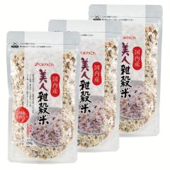 �G���� �������� ���l�G���� 250g�~3�� �x�X�g�A���j�e�B (���[����)�yB�z 12��G������ ���� ���邿 ���� ��艟�� �͂����� �����ԕ� 