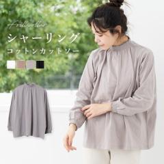 �J�b�g�\�[ t�V���c ���f�B�[�X �u���E�X���� ���� ��100 �R�b�g�� �V���[�����O ���n ���ꂢ�� �t �� �H �~ �g�b�v�X ������� �M���U�[