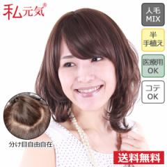 �����C ��×p�E�B�b�O �G���K���g�~�f�B�A�� JH30M3C7 (��������) �l�� �t���E�B�b�O �E�B�b�O �~�f�B�A�� ���� ���R �i�`������ ����