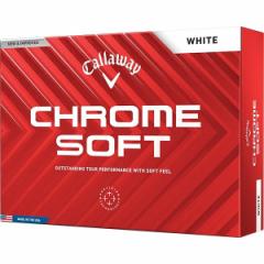 CHROME SOFT(N\tg) {[ 2024Nf zCg _[X 1_[X(12) LEFCyz