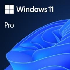 Windows 11 Pro 64bit { DSP(DVD-ROM) CPUN[[ohZbg }CN\tg