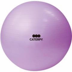 y9/23|CgUPzCATERPY CF-008 tBbglX{[ 55cm p[v