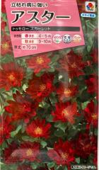 �Ԏ�q �A�X�^�[ �g�D�����[�X�J�[���b�g �^�L�C��c�̃^�l