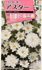 �Ԏ�q �A�X�^�[ �g�D�����[�z���C�g �^�L�C��c�̃^�l �_�ѐ��Y�ȕi��o�^ �i�햼 TA804