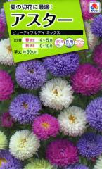 �Ԏ�q �A�X�^�[ �r���[�e�B�t���f�C�~�b�N�X �^�L�C��c�̃^�l 