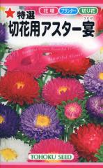 �Ԏ�q ���I�؉ԗp�A�X�^�[ �� �g�[�z�N�̃^�l