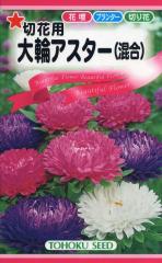 �Ԏ�q ��փA�X�^�[�i�����j �g�[�z�N�̃^�l