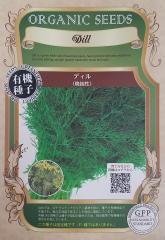 カカオ 【クリオロ種 ボスケ・ブランカ】 Theobroma cacao 実生 5号