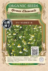 カカオ 【クリオロ種 ボスケ・ブランカ】 Theobroma cacao 実生 5号