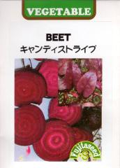 ��؎�q BEET(�r�[�c) �L�����f�B�X�g���C�v ���c��q�̃^�l