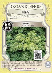 カカオ 【クリオロ種 ボスケ・ブランカ】 Theobroma cacao 実生 5号