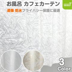 �y �Ց� �h�� 140�~60cm �z ��l�̂��������� �����C �J�t�F�J�[�e�� �u���b�V�� [�v���C�o�V�[�ی�  �������] 