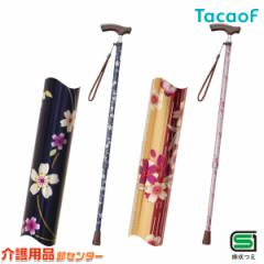 �� �L�k�� �L�k�X�e�b�L�i��ׁjEN12 �K�a���쏊 �e�C�R�u/TacaoF ���p�i �X�e�b�L �ԕ� ���p�� ���f�B�[�X ���킢�� ������� ����