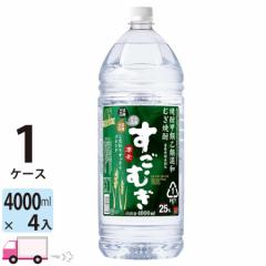 ނ 25x baĒ 4L (4000ml) ybg 4{ 1P[X(4{) y (ꕔn揜)z