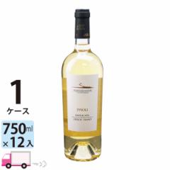 ��t�������C�� �s�|�� �r�A���R �O���[�R �t�B�A�[�m [I630] 1�P�[�X(12�{) ��������