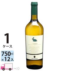 ��t�������C�� �t�@���[���I [I250] 1�P�[�X(12�{) ��������