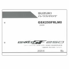 SUZUKIiXYLj GIXXER SF250if20j p[cXg 9900B-66028-X11