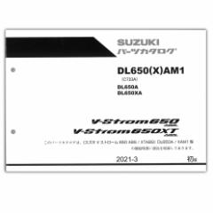 SUZUKIiXYLj VXg[650/XTif21j p[cXg 9900B-72038-X11