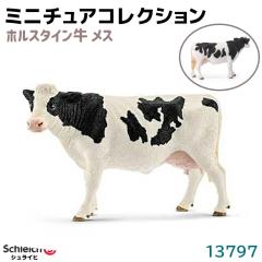 tBMA zX^C X 13797 Schleich VCq  zX^C  tBMA fUC   v[g 