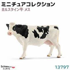 tBMA zX^C X 13797 Schleich VCq  zX^C  tBMA fUC   v[g 