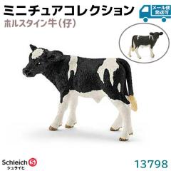 tBMA zX^C e 13798 Schleich VCq tBMA fUC   v[g CeA Mtg ~