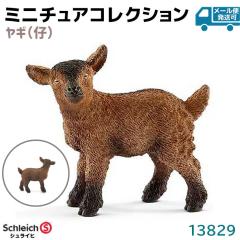 tBMA M e 13829 Schleich VCq tBMA fUC   v[g CeA Mtg ~j`A 