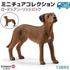 tBMA [fVA bWobN 13895 Schleich VCq tBMA  Ck fUC   v[g C