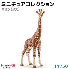tBMA L X 14750 Schleich VCq tBMA fUC   v[g CeA Mtg ~j`