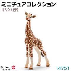 tBMA L e 14751 Schleich VCq tBMA fUC   v[g CeA Mtg ~j`A