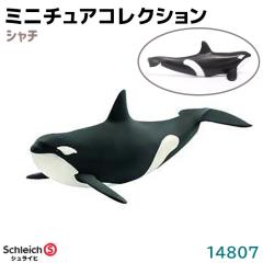 tBMA V` 14807 Schleich VCq tBMA fUC   v[g CeA Mtg ~j`A R