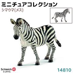 �t�B�M���A �V�}�E�} ���X 14810 Schleich �V�����C�q �����t�B�M���A �f�U�C�� ������� �������� �v���[���g �C���e���A �M�t�g �~�j�`