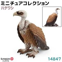 tBMA nQV 14847 Schleich VCq h V C[O  o[h tBMA fUC  v[g CeA 