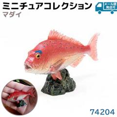 tBMA }_C 74204 ^   ANAtBbV ~jf tFobg Favorite fUC   v[g C