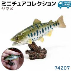 tBMA } 74207   ANAtBbV ~jf tFobg Favorite fUC   v[g Ce