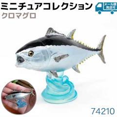 tBMA N}O 74210 Cm ANAtBbV ~jf  }O tFobg Favorite  tBbV fUC 