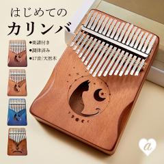 �y�� �ؐ� �J�����o 17�� 4�J���[ �L �� �T���s�A�m �e�w�s�A�m �����y�� 17�L�[ �}�z�K�j�[ �A�t���J�y�� �Ŋy�� �t�B���K�[�s�A�m �n��