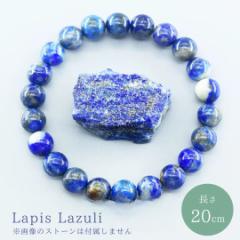 �y���ʗX�֔����z ���s�X���Y�� �V�R�� ���� �u���X���b�g �W���G���[ �A�N�Z�T���[ �X�s���`���A�� ������ ����� �ґz �f�[�g �v���[��