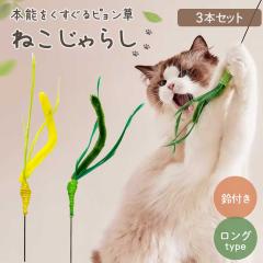 �y�b�g �p�i �s����������炵 �L����炵 ��t�� �S2�F 3�� ������������ �G�m�R���O�T�� �L�̂������� �L�p �L�̃X�g���X���� �L�̊ߋ�