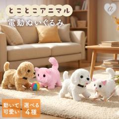 �y�u���z�z���z�d�� �ʂ������ ���� �� �Ƃ��Ƃ��A�j�}�� 15cm �L �� �˂������ ��������� �L���b�g �h�b�O ���� �A�j�}�� ���킢��