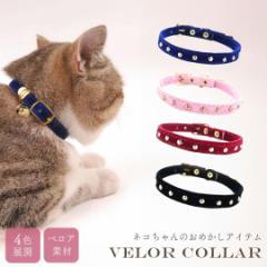 y݌Ɍzybgp L  xA 邠 xg Vv S4J[  v[g ^p  L CAT Lbg ~jT