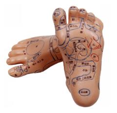 �y�݌Ɍ���z2�Z�b�g ���� �͌^ ���ڃ}�b�T�[�W �̌n�I�Ɋo���� �c�{�O�b�Y �����}�b�T�[�W ������ ���ˋ� �\�L �I�� ���K�p ��