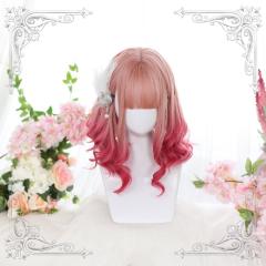 y݌ɌzEBbO ѐ惌bh Z~O@tEBbO y  i` \ Tc PJbg 킢 Y  