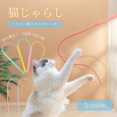 �y�b�g �p�i �L����炵 �l�Y�~�̂����� �S5�F �L���b�g CAT �L�̂������� �� ������ �L�p �L�̃X�g���X���� �L�̊ߋ� �^���s�����P �X