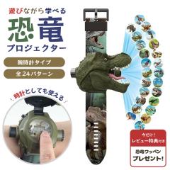 �y���r���[���T�t���z�y�u���z�z���z �r���v �_�C�i�\�[ ���� 24�p�^�[�� �v���W�F�N�^�[ �������� �c������ �m��ߋ� �n���� �A�Q�� �q